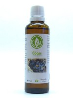 Čaga (Rezavec šikmý)